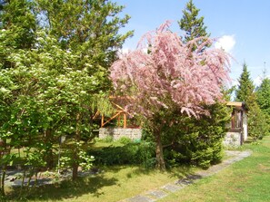 A garden with a stone wall, a wooden pergola, and a small building.