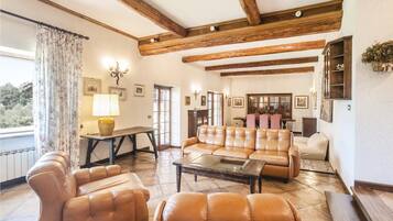 Fernseher, Kamin, DVD-Player