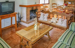 Fernseher, Kamin