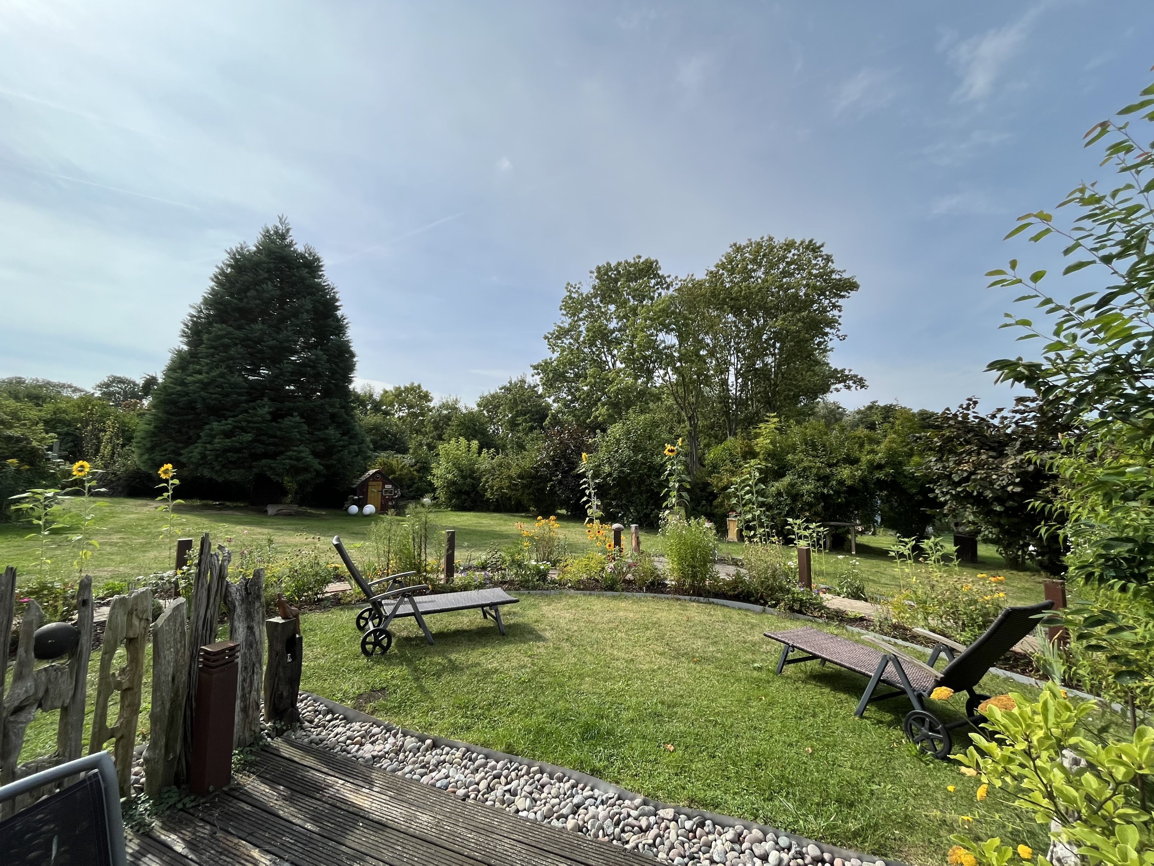 A garden with a wooden deck, two lounge chairs, and a small wooden structure.