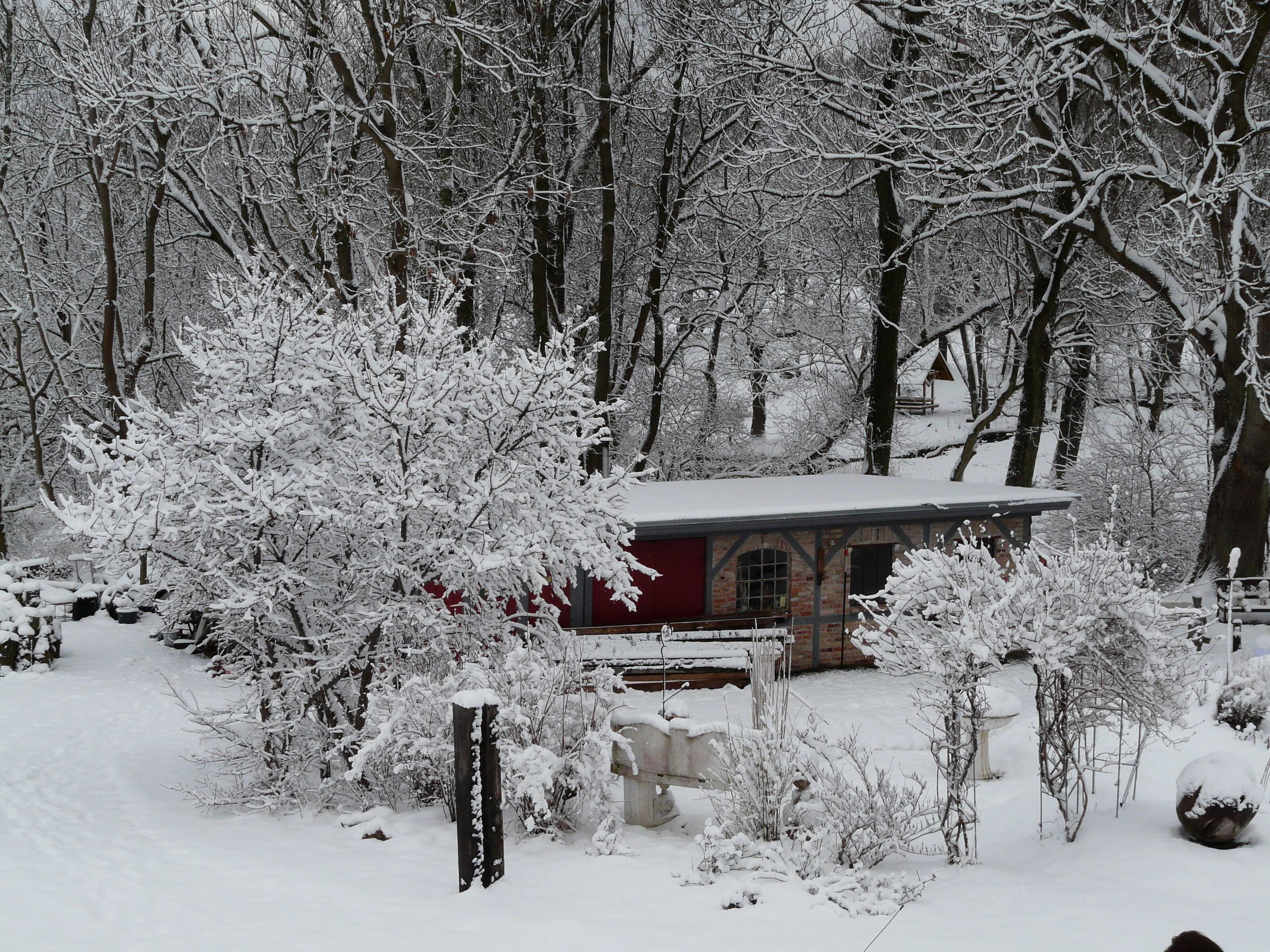 Paisagem coberta de neve com um edifício vermelho, rodeado por árvores e arbustos.