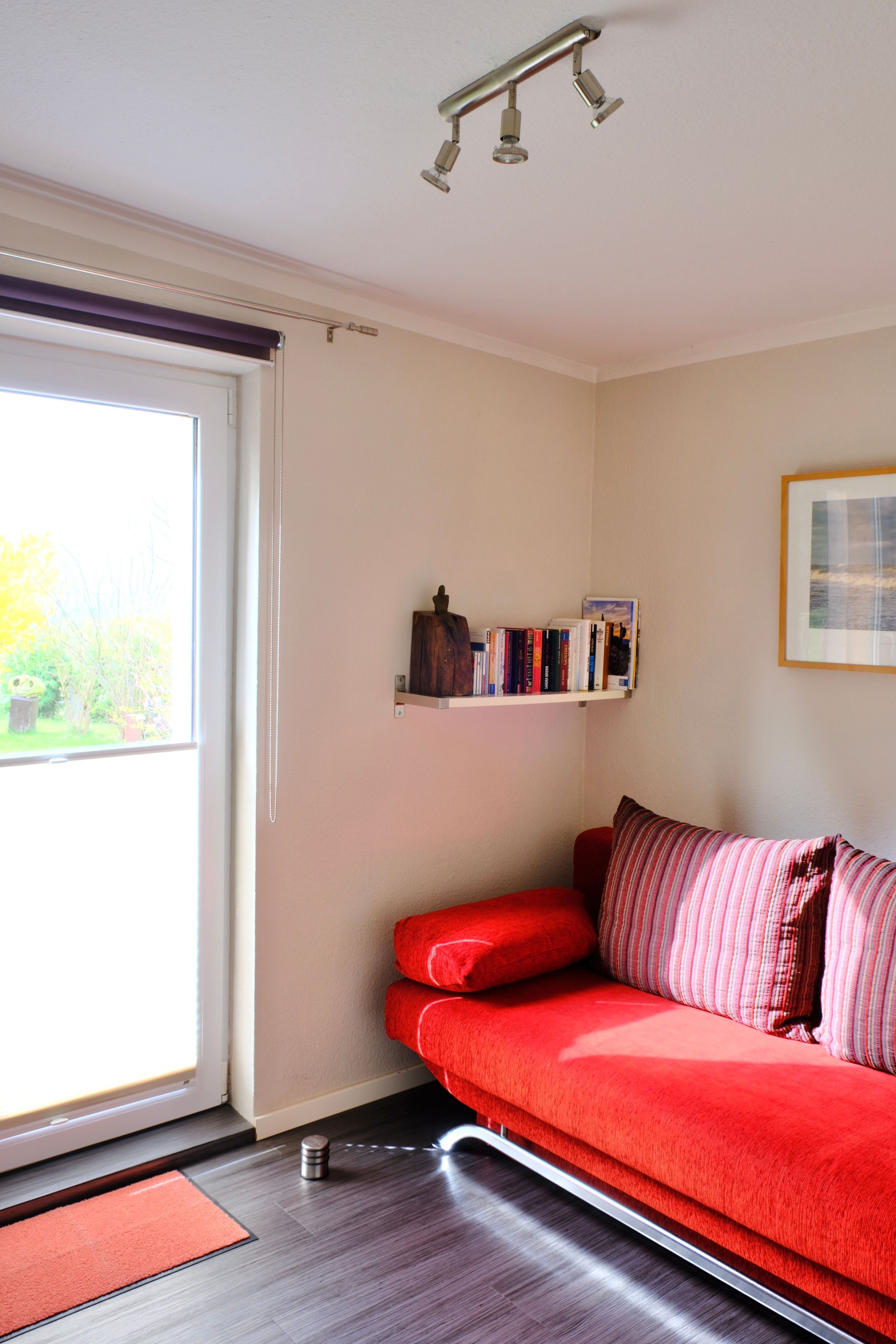 A room with a red sofa, a bookshelf, a framed picture on the wall, and a door leading to a garden.