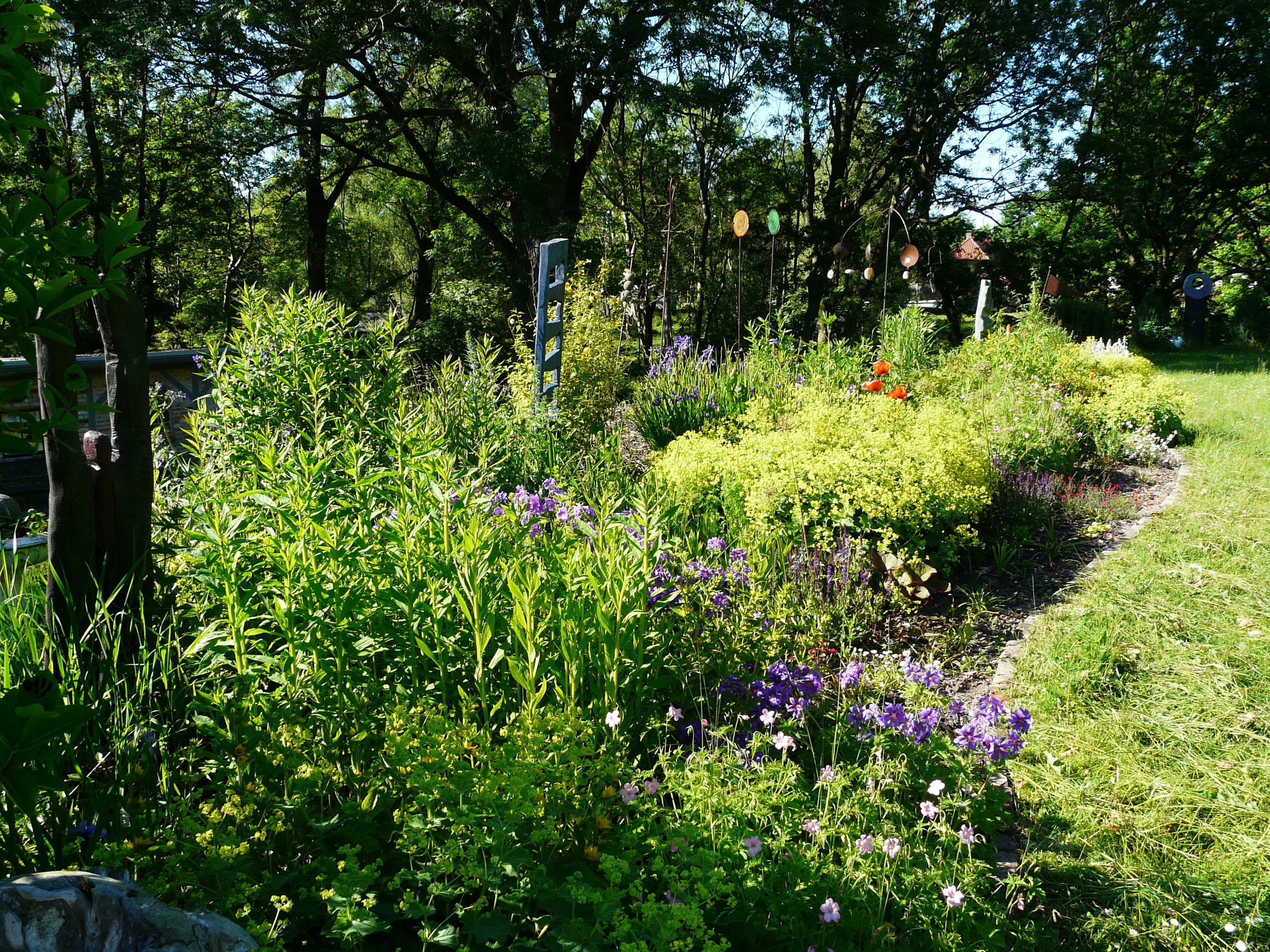 Un jardín con diversas plantas y flores, un banco de madera y un sendero.
