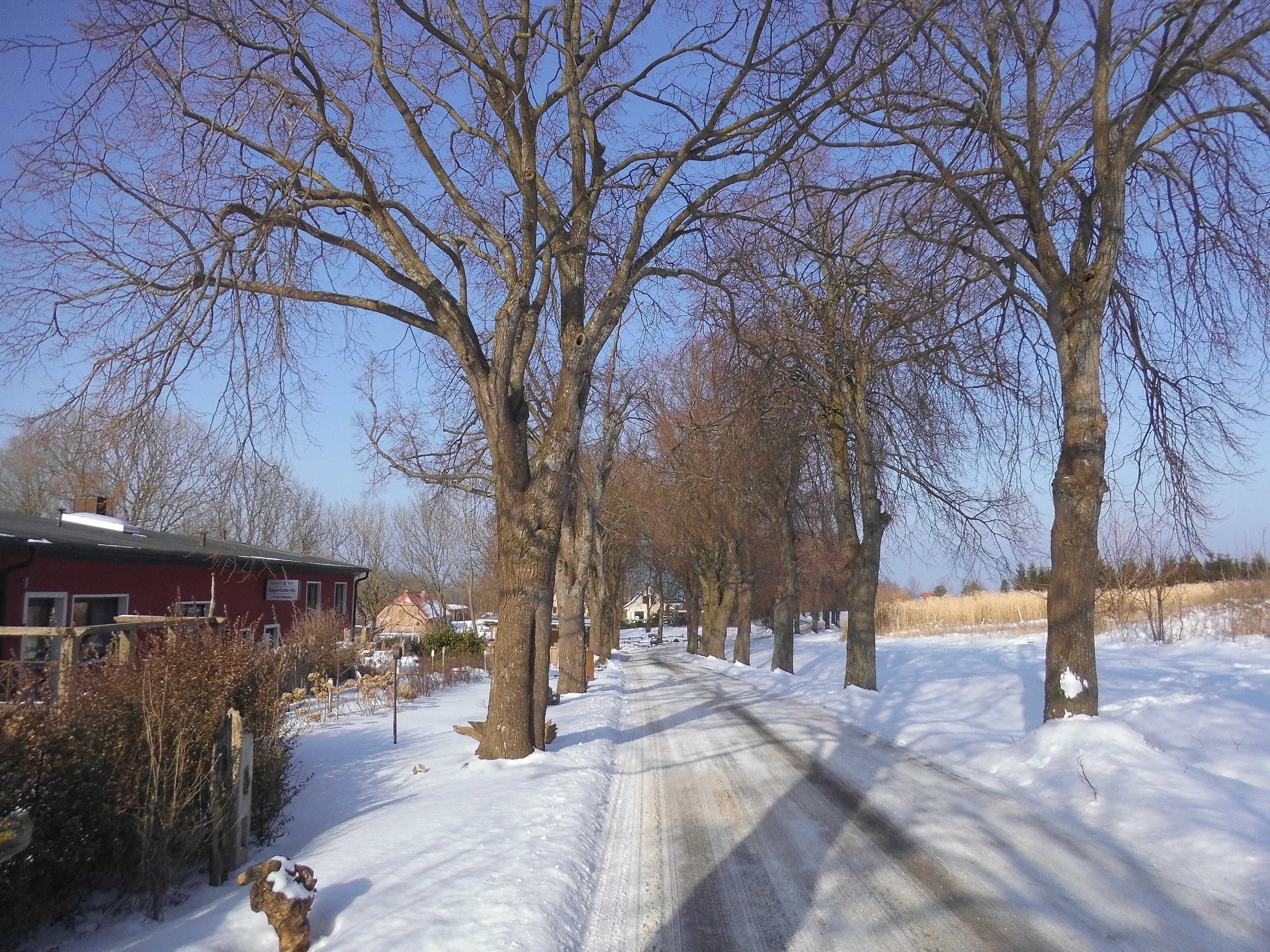 Una strada rurale innevata, fiancheggiata da alberi spogli e un edificio rosso con un cartello.