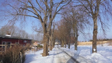Una strada rurale innevata, fiancheggiata da alberi spogli e un edificio rosso con un cartello.