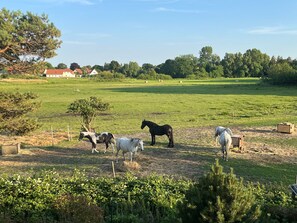 Imagem sem classificação, 4 de 13, botão