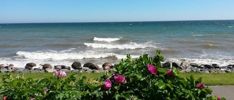 Beach nearby