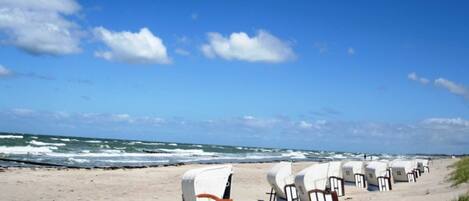 Playa en los alrededores