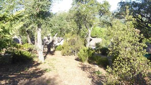 A rustic outdoor area with a dirt path, surrounded by trees and shrubs, leading to a building with a tiled roof. - House - House btw. Cogolin and St. Tropez (Cogolin)