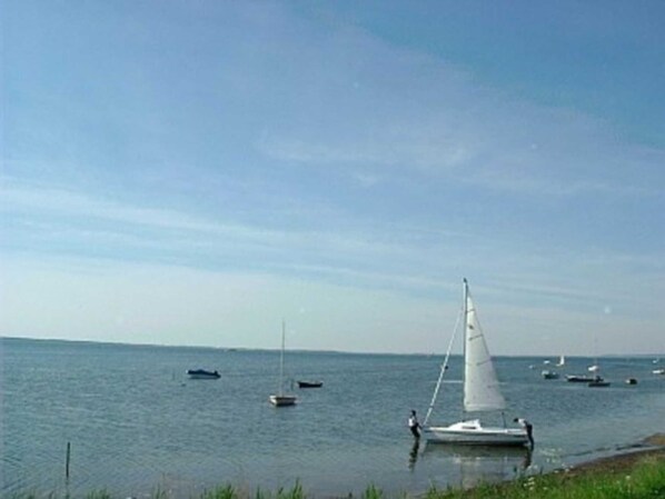 Unclassified image, 1 of 9, button