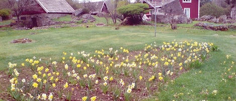 Jardines del alojamiento