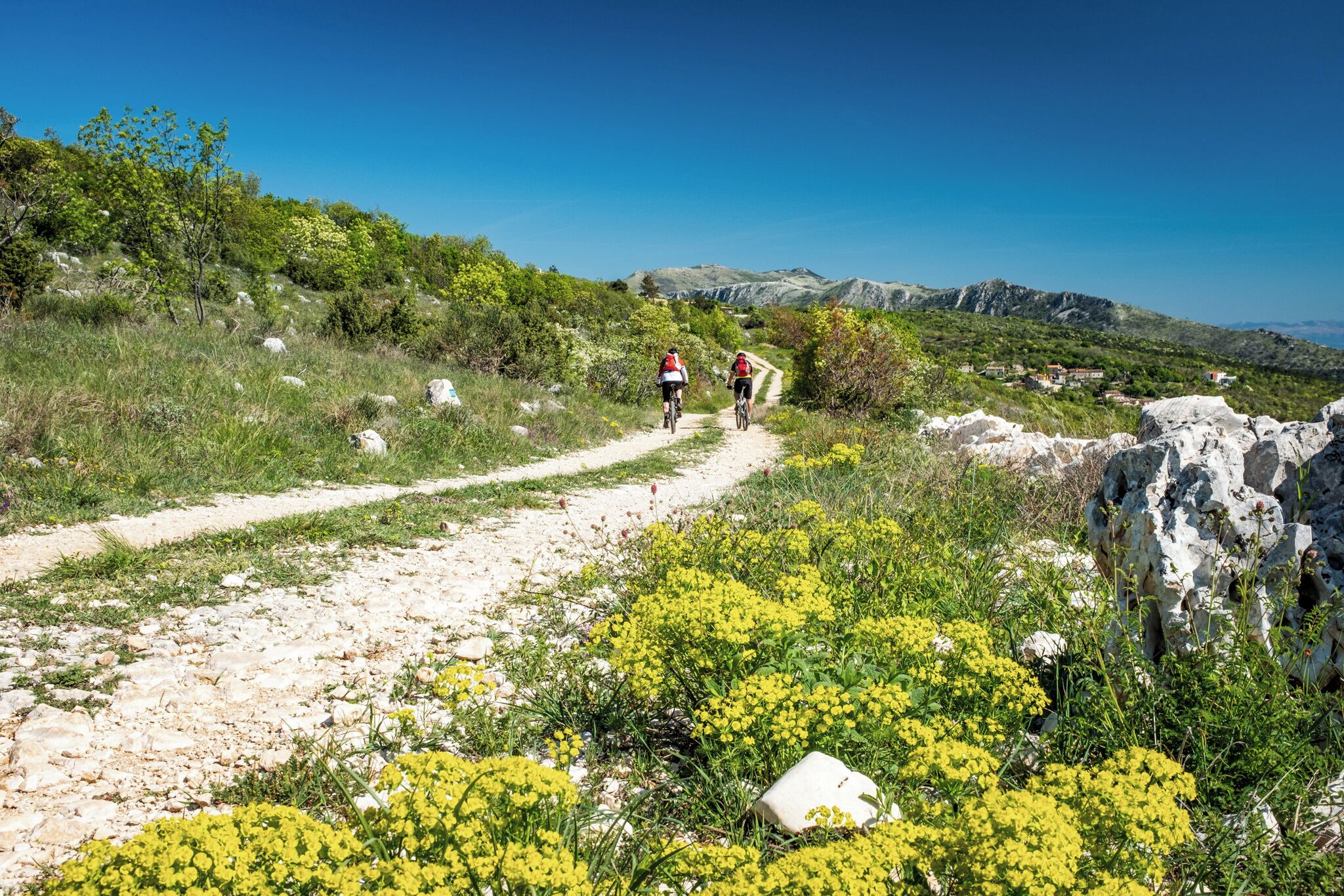 A dirt path with yellow flowers and rocky terrain.