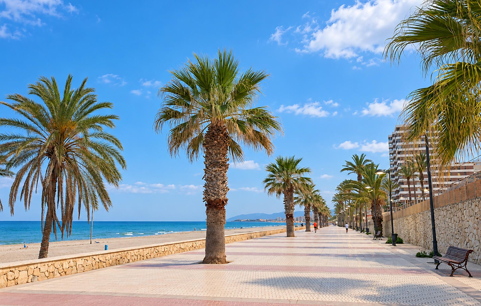 Une promenade en bord de mer, bordée de palmiers, avec un mur de pierre et une plage en arrière-plan.