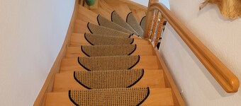 Apartment Herschel - Apartment