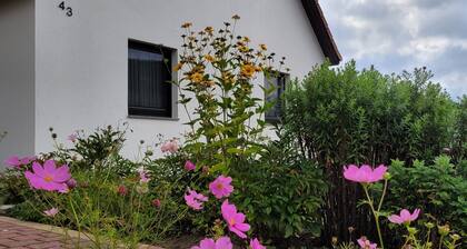 Ferienwohnung Herschel - Ferienwohnung