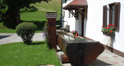 Apartment Ahorn - Brandnerhof