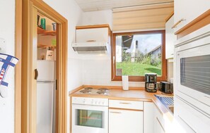 Kühlschrank, Mikrowelle, Herdplatte, Geschirrspüler