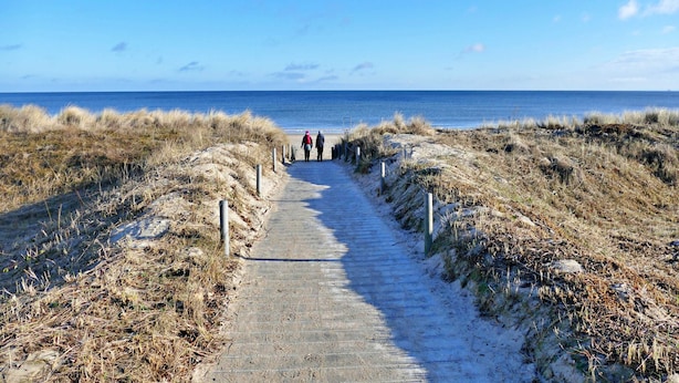 A coastal path leading to the sea with a clear sky. - Apartment 15 - Villa Mutabor (Heringsdorf)