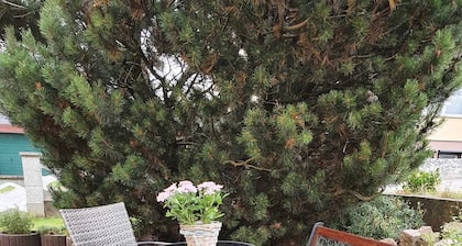 Rügen apartment 277 - Apartment