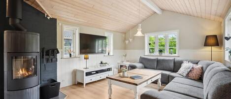 TV, fireplace, DVD player