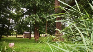 Een natuurlijke buitenruimte met een vijver, bomen en een houten constructie.