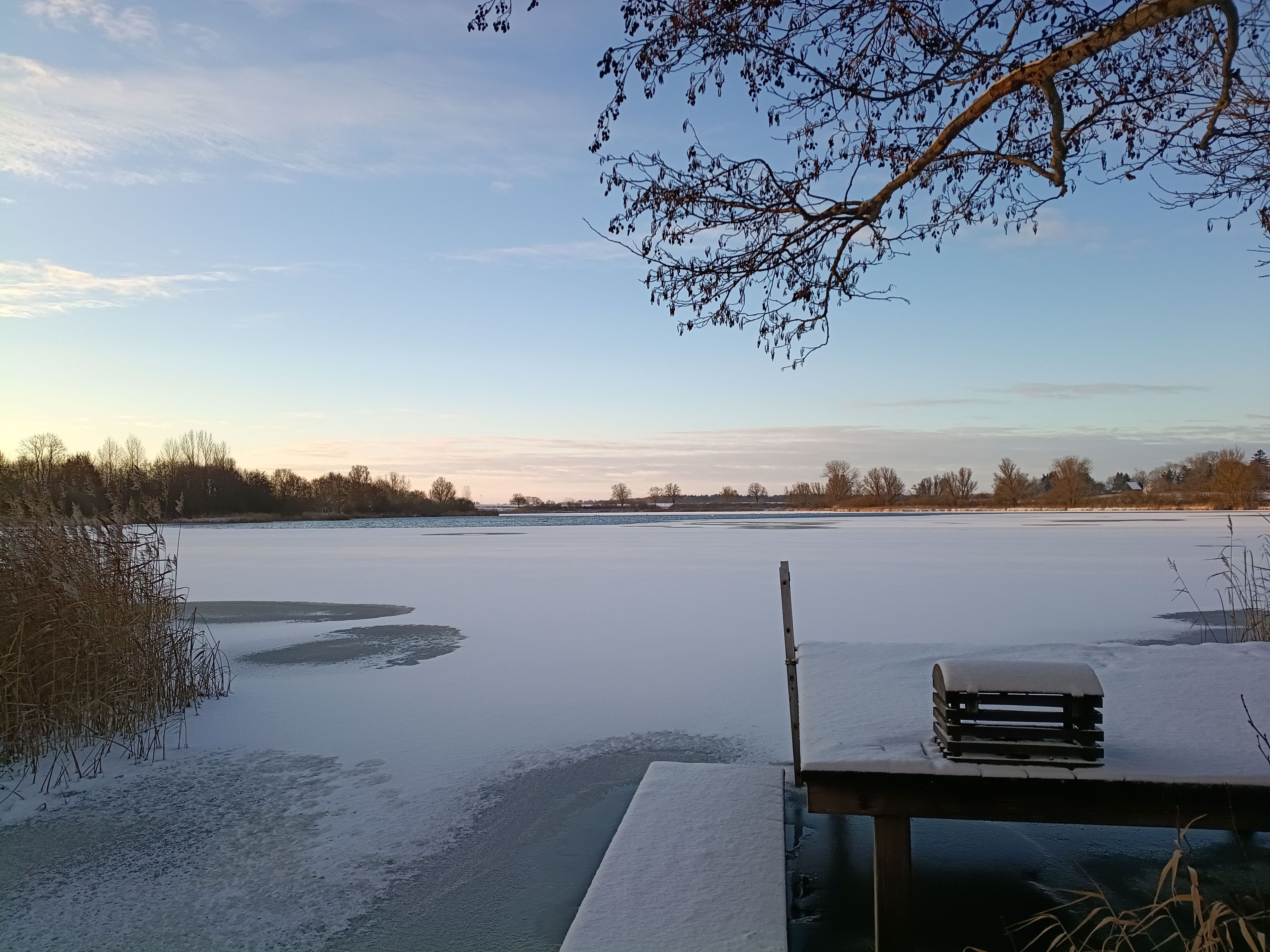 Een bevroren meer met een steiger en een bankje, omringd door bomen en een heldere lucht.