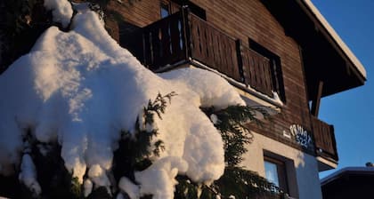 Holiday apartment In the ski area