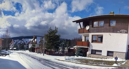 Holiday Apartment in the Ski Area