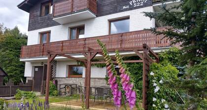 Holiday apartment in the ski resort on