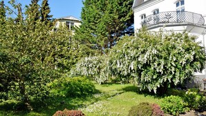 A lush garden with a variety of trees and shrubs, a white building with a balcony, and a clear blue sky. - 04 Double Room - Villa in the Baltic Sea resort Baabe (Baabe)