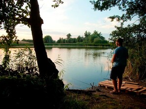 Eine Person fischt an einem stillen See, im Hintergrund sind Bäume zu sehen.