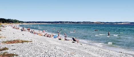 Beach nearby, fishing