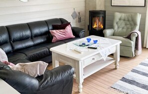 Fernseher, Kamin