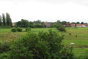 Unclassified image, 4 of 12, button - Whg 5 - 1st floor - Villa Boddenblick (Wiek)