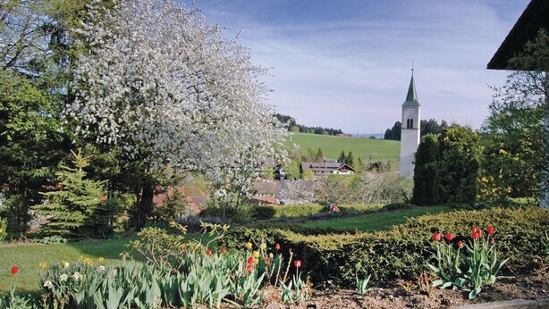 Een kerk met een hoge kerktoren, omringd door bloeiende bomen en een verzorgde tuin met tulpen.
