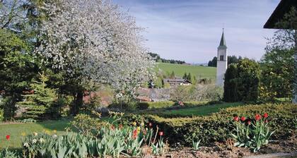 Amazing apartment in Rickenbach