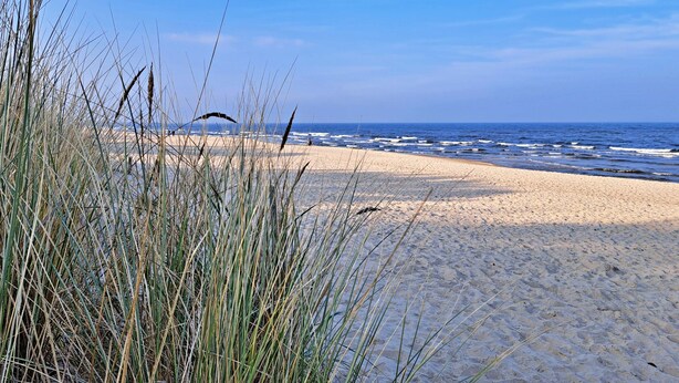 Een strand met zand, gras en de oceaan.
