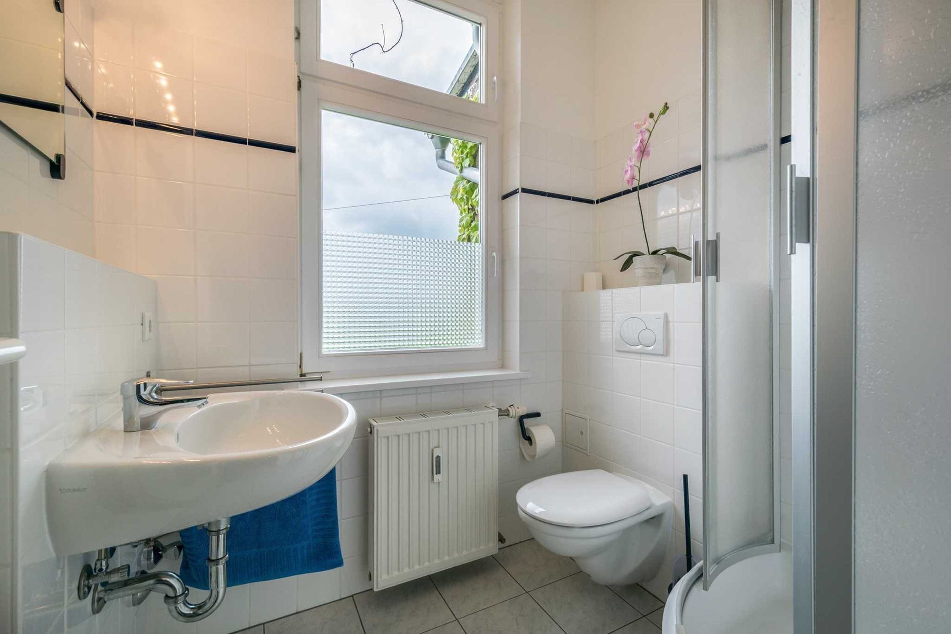 A bathroom with a white sink, toilet, and a glass shower enclosure.