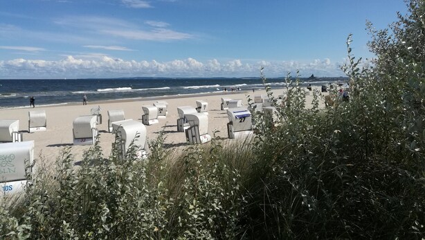 A beach with rows of numbered beach chairs and umbrellas, a clear sky, and the ocean in the background. - Beach Park Heringsdorf - near the beach / first row - apartment 3. 24 (Heringsdorf)