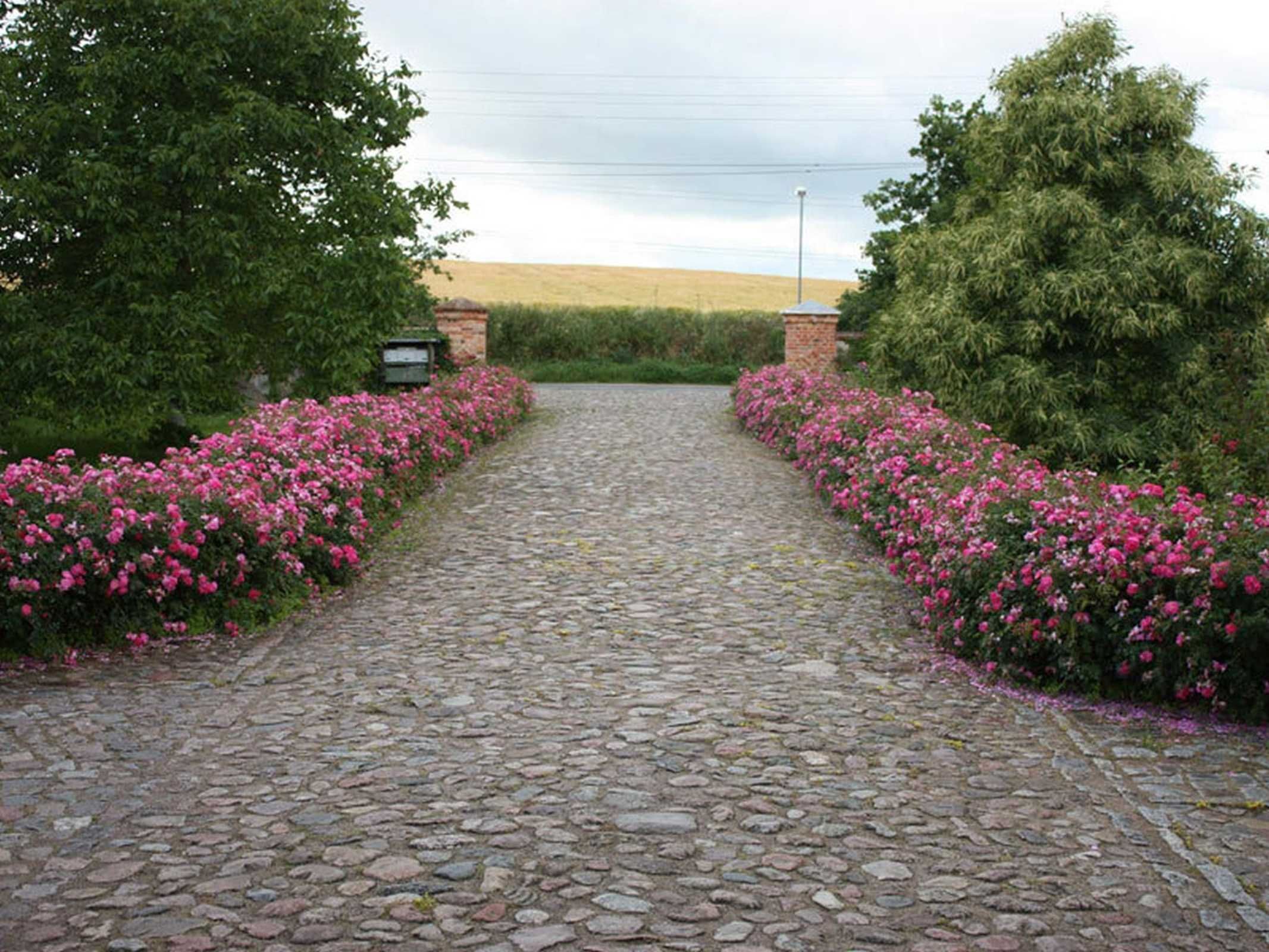 Overnatningsstedets område