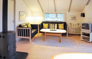 Fernseher, Kamin
