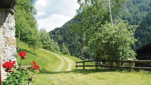 Un sentiero rurale che si snoda attraverso un paesaggio verde, con una recinzione in legno e un muro di pietra sulla sinistra.