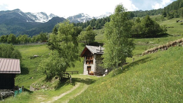 Una baita di pietra con tetto spiovente, circondata da vegetazione lussureggiante e un sentiero sterrato che vi conduce.