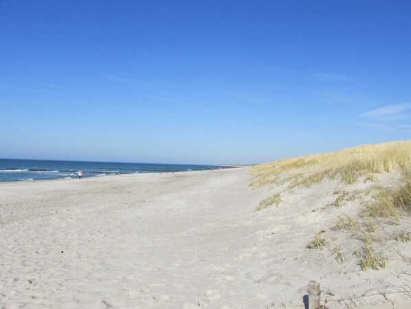 Vlak bij het strand
