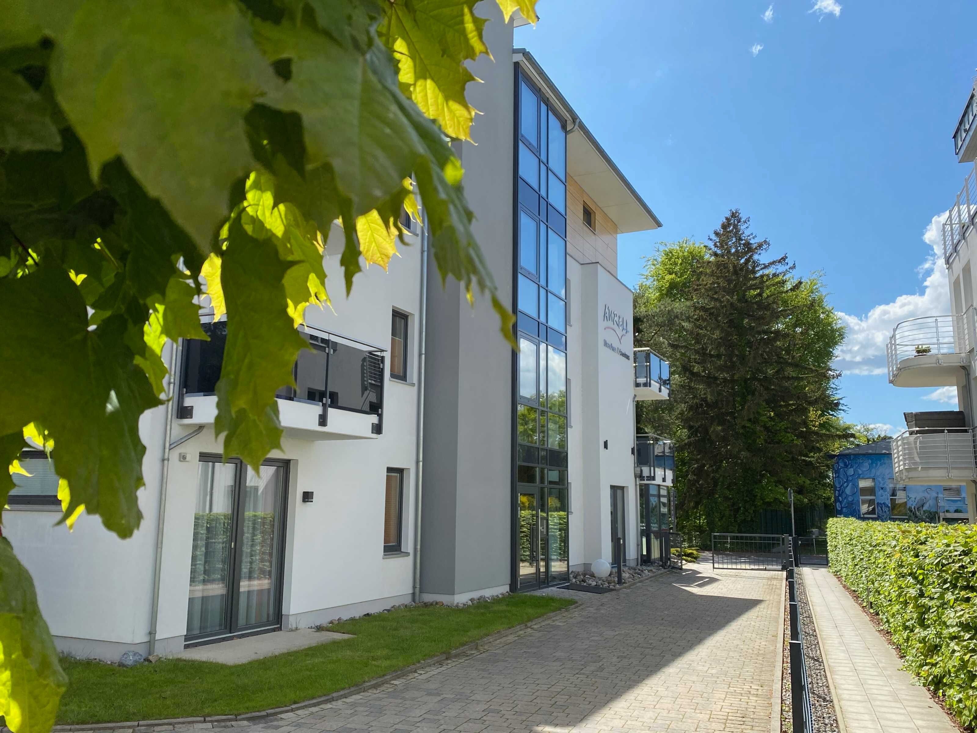 A modern building with a glass facade, a paved courtyard, and a hedge along the side.