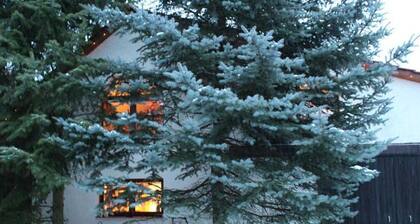 Vacation cottage Hofmann Hainrode