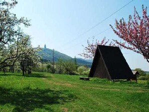 Immagine non classificata, 5 di 24, pulsante