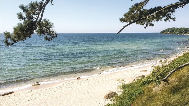 Une plage avec une eau d’un bleu limpide, un rivage sablonneux et des arbres au premier plan.