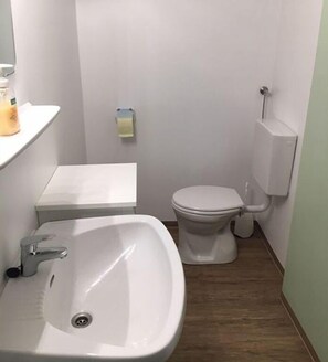 Shower, hair dryer, towels - Double Room 1 - Pension Herned ** (Mondsee)