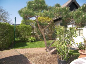 Unclassified image, 2 of 33, button